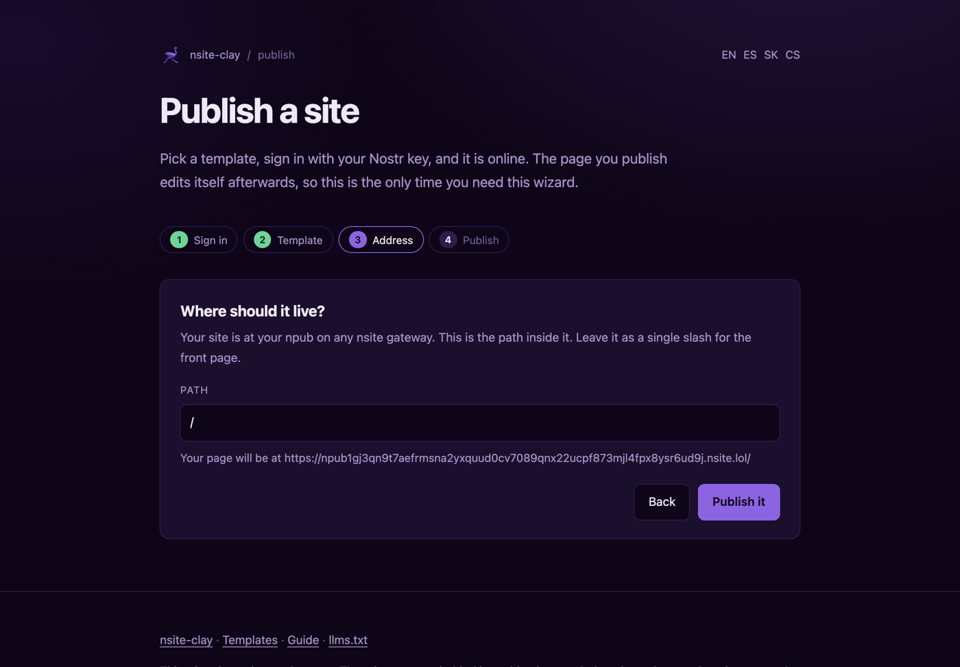 The address step, showing the full nsite.lol URL the page will have